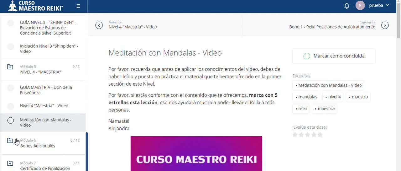 Módulo de Maestría del Curso Maestro Reiki: meditación con mandalas