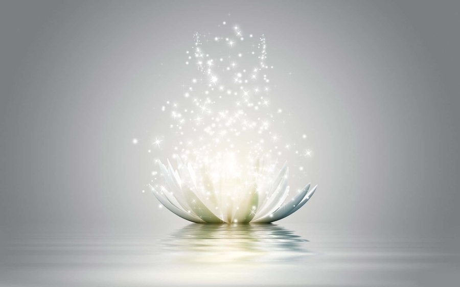 Flor de loto sobre el agua, imagen asociada a los distintos tipos de Reiki