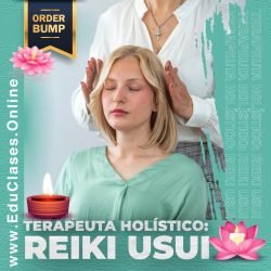 Terapeuta Holístico- Reiki Usui